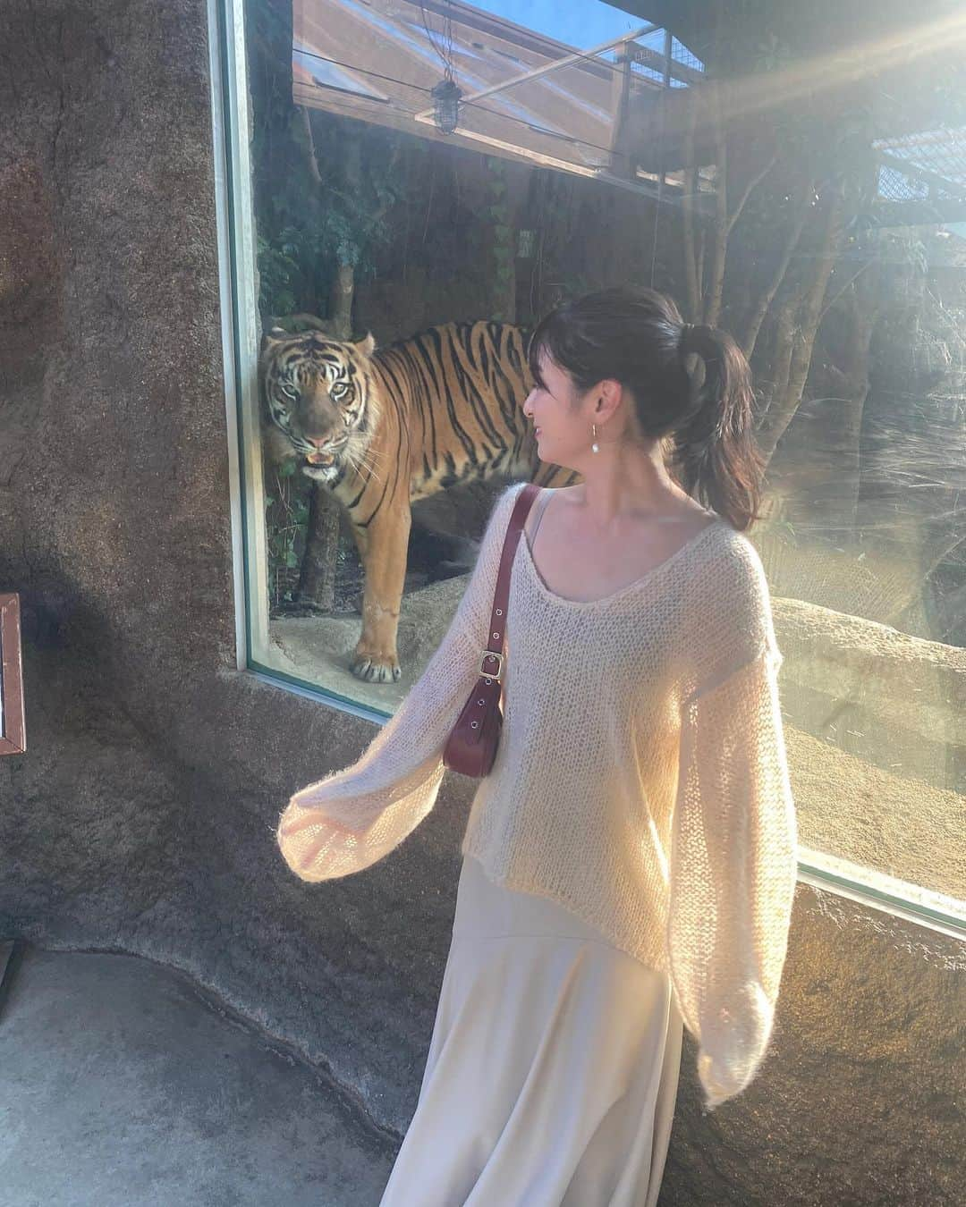 松原菜摘のインスタグラム：「すんごい🐅が近くって ガラス1枚あるのに怖がりまくってる🥹笑 今にも飛び出してきそうですごい迫力だった🤣  よもぎ蒸し月3回と 福女PONNYOを受けて1週間たったんだけどね いつもわたしのインスタ見てくださってる方はこの写真みてわかる人はわかると思うけど、 自分でもわかるくらい 女性らしいラインになってきたの🥹💓 今まで体のラインがわかる服は 着たいけど着たくない…😢 って感じだったんだけど 自信が出てきたからとかってわけでなくて 大人っぽいおんなっぽ♡ な服が着たくなってきて きたら、あれ、なんかいい感じ🤭💗  この間ストーリーに載せた写真も みんなから え、何したのすんごい色っぽい♡ って女の子からもたくさんゆわれて すごい嬉しかった😍  見た目だけじゃなくって 暴飲暴食がなくなって、 自分が心地よく食べたいタイミングにだけお腹が空いたり 浅呼吸だったわたしが呼吸がしやすくなったり いつもだったら肌の調子が悪くなるタイミングでお肌ツヤツヤだったり♡ マインドも前向きで張り詰めることもなく ゆる〜く人のこともゆる〜くやさし〜く見れたり🤭  いいことたくさん♡ よもぎ蒸しは来週、 福女PONNYOは来月また受けるの♡ 楽しみで仕方ない❤️‍🔥」