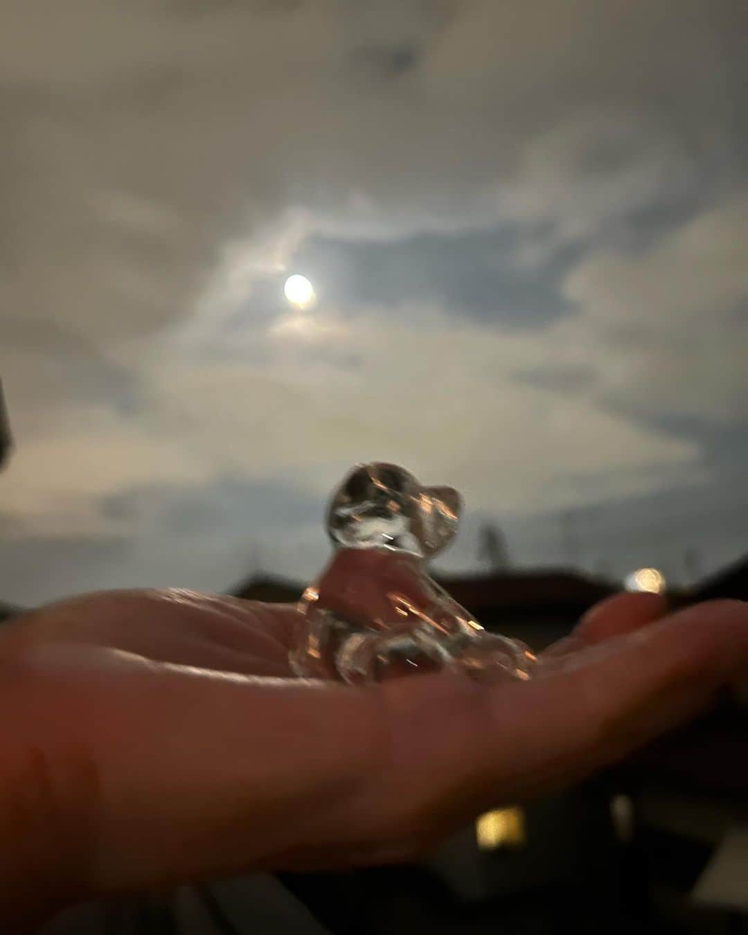 のインスタグラム：「今日は中秋の名月🌕 ももえも見てるかなぁ😊」