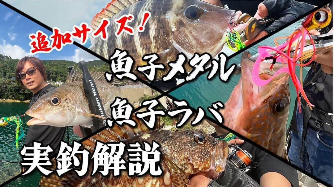 金丸竜児のインスタグラム：「本日20時より、新しく追加ウエイトをリリースした「魚子ラバ」と「魚子メタル」を使用した実釣動画をアップ致しました!!   それぞれのルアーの操作法やもちろんのこと、使い分け方等、見れば分かって頂けるかと思います(^^)   宜しければ、動画は僕のプロフに貼ってますので是非ご視聴下さいませ!!   #RUDIES_MOVIE #魚子ラバ #魚子メタル #ミドルゲーム #ロックフィッシュ #キジハタ #カサゴ #根魚 #RUDIES #ルーディーズ #金丸竜児」