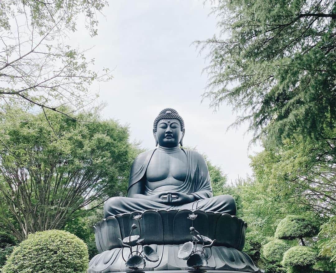 Promoting Tokyo Culture都庁文化振興部さんのインスタグラム写真 - (Promoting Tokyo Culture都庁文化振興部Instagram)「The Tokyo Daibutsu (Great Buddha) at Jōrenji Temple in Itabashi has a 600-year history. Its significance is underscored by a visit from Tokugawa Ieyasu, the renowned shogun of the Edo Shogunate.  This serene figure of the Tokyo Daibutsu serves as the symbol of the temple and was erected in 1977, representing wishes that natural disasters and war will never happen again.  -  板橋にある「東京大仏 乗蓮寺」は600年の歴史をもち、江戸幕府将軍・徳川家康も訪れていたお寺です。 穏やかな表情で鎮座するお寺のシンボル「東京大仏」は、1977年に建立されたもの。 天災や戦災が二度と起きないようにという願いが込められています。  #tokyoartsandculture 📸: @tktmo  #itabashi #daibutsu #板橋区 #東京大仏 #japantraditional #japanculture  #artandculture #artculture #culturalexperience #artexperience #culturetrip #theculturetrip #japantrip #tokyotrip #tokyophotography #tokyojapan  #tokyotokyo #explorejpn #unknownjapan #discoverjapan #japan_of_insta  #nipponpic  #japanfocus #japanesestyle #artphoto #artstagram」9月29日 20時16分 - tokyoartsandculture