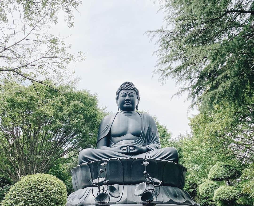 Promoting Tokyo Culture都庁文化振興部のインスタグラム：「The Tokyo Daibutsu (Great Buddha) at Jōrenji Temple in Itabashi has a 600-year history. Its significance is underscored by a visit from Tokugawa Ieyasu, the renowned shogun of the Edo Shogunate.  This serene figure of the Tokyo Daibutsu serves as the symbol of the temple and was erected in 1977, representing wishes that natural disasters and war will never happen again.  -  板橋にある「東京大仏 乗蓮寺」は600年の歴史をもち、江戸幕府将軍・徳川家康も訪れていたお寺です。 穏やかな表情で鎮座するお寺のシンボル「東京大仏」は、1977年に建立されたもの。 天災や戦災が二度と起きないようにという願いが込められています。  #tokyoartsandculture 📸: @tktmo  #itabashi #daibutsu #板橋区 #東京大仏 #japantraditional #japanculture  #artandculture #artculture #culturalexperience #artexperience #culturetrip #theculturetrip #japantrip #tokyotrip #tokyophotography #tokyojapan  #tokyotokyo #explorejpn #unknownjapan #discoverjapan #japan_of_insta  #nipponpic  #japanfocus #japanesestyle #artphoto #artstagram」