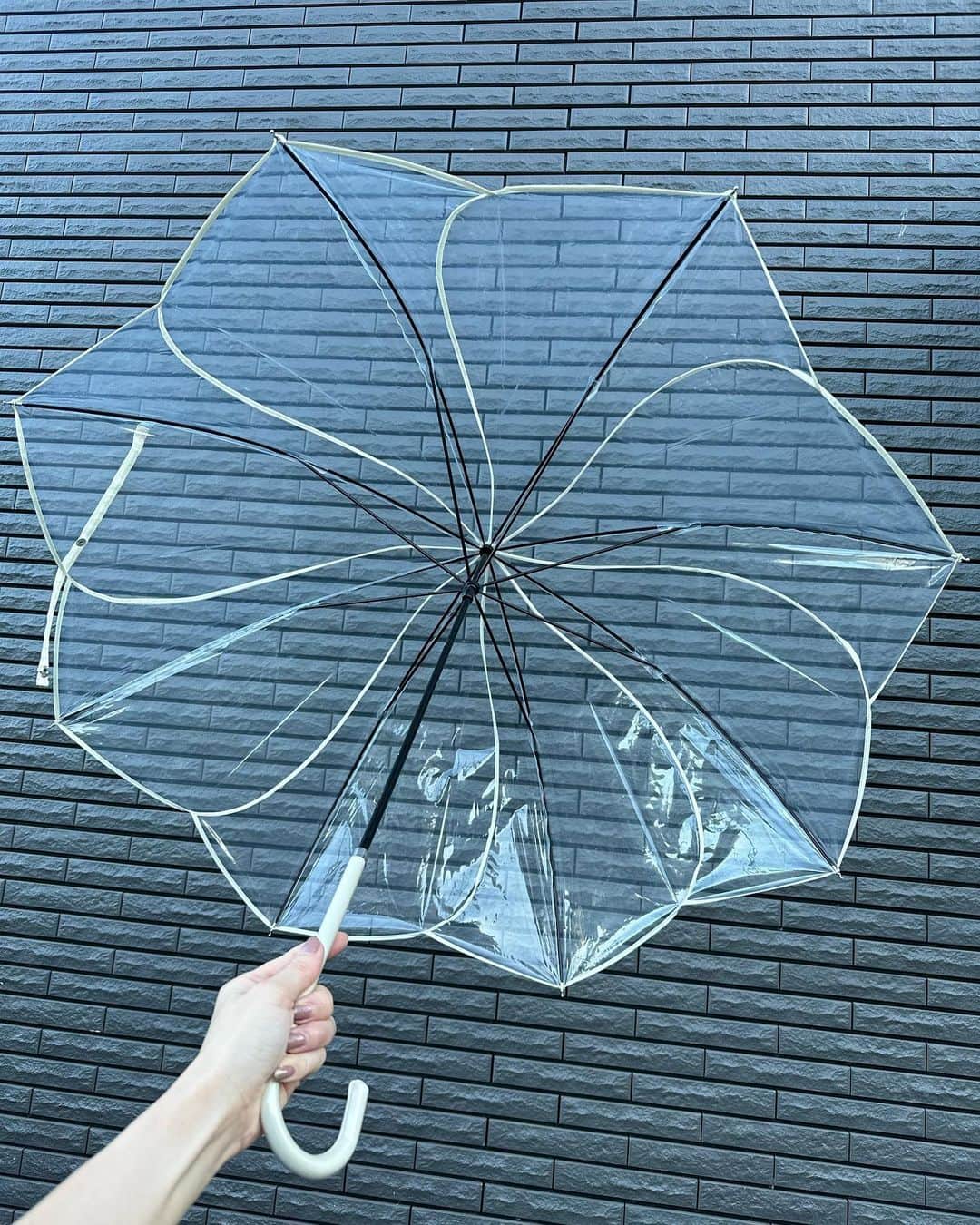 meguri.kさんのインスタグラム写真 - (meguri.kInstagram)「娘の傘を新調しました♪  花びらが重なるようにデザインされた【花びら傘】☂️  デザイン性が高く、パイピングが付いてるので、ビニール傘なのにチープ感がない🥺✨  緩やかなカーブが可愛らしい🥰  畳んだ時も生地がもたつかず、美しくなるよう計算されているそう💡とってもスリムでスッキリしてる🥺💕  持ち手は細身でレザー調✨ストラップ位置は高めで美しい😍  しかも金属パーツは環境に配慮した、錆びにくいメッキが採用されているそう👏  こんなエレガントなビニール傘初めて見た👁️💕  @hinatalife さんでgetしました♫  ストーリーズから飛べる様にしておきます💁‍♀️  クーポン良ければお使い下さい✨ ———————————— ★10％OFFクーポン★  クーポンコード：【megurik10】  ※5000円以上（商品代金のみ）で利用可能。 ※クーポンは併用不可となります。 -————————  #hinatalife #ひなたライフ #ひなたライフスタイル #シンプルライフ#暮らし#くらし#暮らしを整える#暮らしを楽しむ#暮らしの記録#かさ#傘#花びら傘#ビニール傘#ビニ傘」9月29日 20時18分 - meguri.k