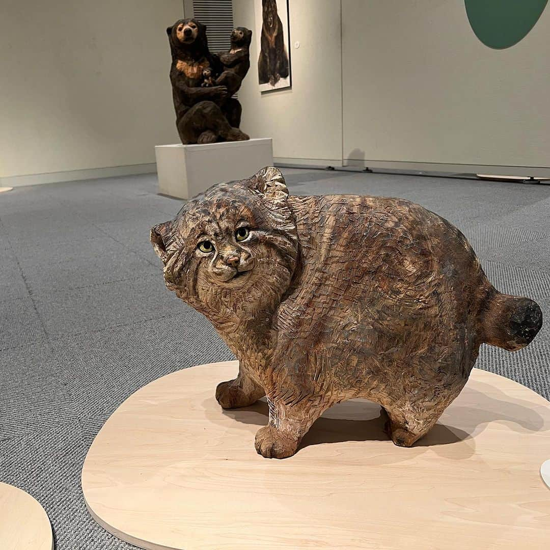 はしもとみおさんのインスタグラム写真 - (はしもとみおInstagram)「山形県　天童市美術館 はしもとみお展 時を刻むいきものたち 2023年9/30(土)〜11/19(日)  山形県では酒田市美術館に次いで数年ぶりに2回目の展覧会。 今回は広い会場を利用して動線もゆとりたっぷりにとってありますので、ベビーカーのお子様や、赤ちゃんからお年寄りまで、そして学生さん達にも何か新しい時をはじめるきっかけになれたらと思っています。  阪神大震災とともに今までと別の時を刻むようになった私が、どのようにまわり道や迷い道をして今にたどり着き、何に導かれて木彫りを続けているのか、じっくりゆっくり観察できるめずらしい機会です。  今回も彫刻たちに触れて、写真も撮れて、スケッチコーナーもある展覧会ですので、 ぜひいきものたちに会いに来てまるごと楽しんでくださいね。  #はしもとみお#天童市美術館 #天童#山形#dog#cat#woodsculpture #sculpture #woodcarving」9月29日 21時20分 - hashimotomio