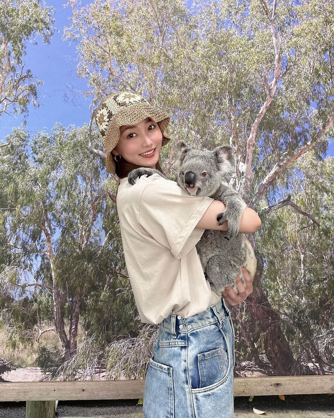 水越愛華さんのインスタグラム写真 - (水越愛華Instagram)「らぶりーコアラちゃんたち🐨🩶😚  #kuranda #kurandakoalagardens  #コアラ #コアラの中のコアラ」9月29日 21時21分 - iamemika21