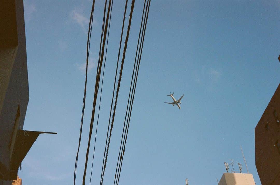 のインスタグラム：「#ゆきみとフィルム  東京の狭い空を横切っていく飛行機が好きで、よくファインダー越しに空を見上げて待ち伏せしています。  カメラ構えてたらすぐフレームインしてくるし、最近かなりの頻度で私の頭上を飛んでるなぁって思うんですけど、空から護衛でもしてくれてんのかな。  そんなわけないか …✈」
