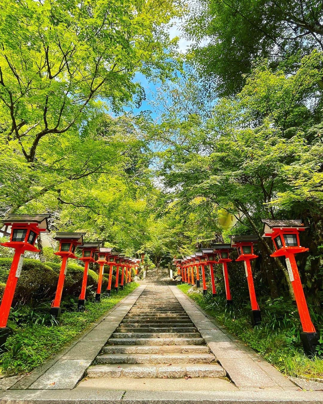 ひぐちしょうこさんのインスタグラム写真 - (ひぐちしょうこInstagram)「京都旅、2日目は鞍馬寺へ。  鞍馬寺は大好きで、もう5回は来てるかな。 少し久しぶりの鞍馬寺、やっぱりとっても素晴らしい気が満ち満ちていました✨✨✨  最近お香にはまっているので、鞍馬寺でも白檀のお香、沈香のお香、塗香に清め杉も購入してご満悦。  本堂にお参り後は山を登って奥の院 魔王殿へ。 お祈りしたり、美味しいおにぎりを食べたりして。ゆっくり場のエネルギーを吸収してきました☺️  そのまま山をおりて、貴船神社へ。 奥宮まで行ってお参りしてきました⛩️✨  9月とはいえ、京都はとても暑くて。 今年一番汗かいたかも🤗　 気持ちの良い一日でした✨  #temple  #shrine #神社#japan #japan_art_photography  #japantravel #travel #お寺 #お寺巡り #京都 #旅行」9月29日 21時55分 - higuchishoko