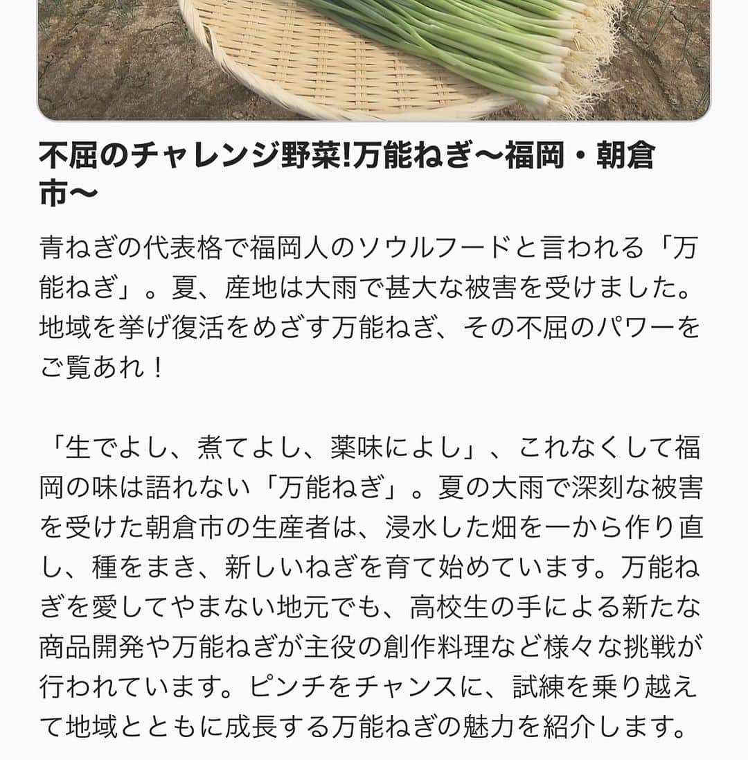 松井絵里奈さんのインスタグラム写真 - (松井絵里奈Instagram)「🫶 NHK総合『うまいッ！』 2023.10.2(月) 12:20〜12:43 放送に 食材ハンターとして 出演させていただきます。  今回の食材は… 『不屈のチャレンジ野菜〜 福岡・朝倉市　万能ねぎ』  この夏の大雨で甚大な被害を受けた万能ねぎ。  度重なる災害からも 立ち上がり、美味しい万能ねぎを 作られる生産者さんのお姿に感動しました😭  美味しい万能ねぎがいただける先には、 たくさんの想いとストーリーがあることを感じながら 食材に感謝をしていただきたい。  万能ねぎがメインになる？！ 素晴らしいお料理も 教えていただきましたー♪  ぜひ、ご覧くださいませ🙏🏻 · · • • • ✤ • • • · · #万能ねぎ #福岡県朝倉市 #自然豊かな美しい朝倉市 #朝倉市#空飛ぶ野菜 #野菜大好き #NHKうまいッ #うまいッ #ピンチをチャンスに #力強さを教えていただく #生産者さんに感謝 #松井絵里奈 #🫶 #🩷」9月29日 21時57分 - erina74xx