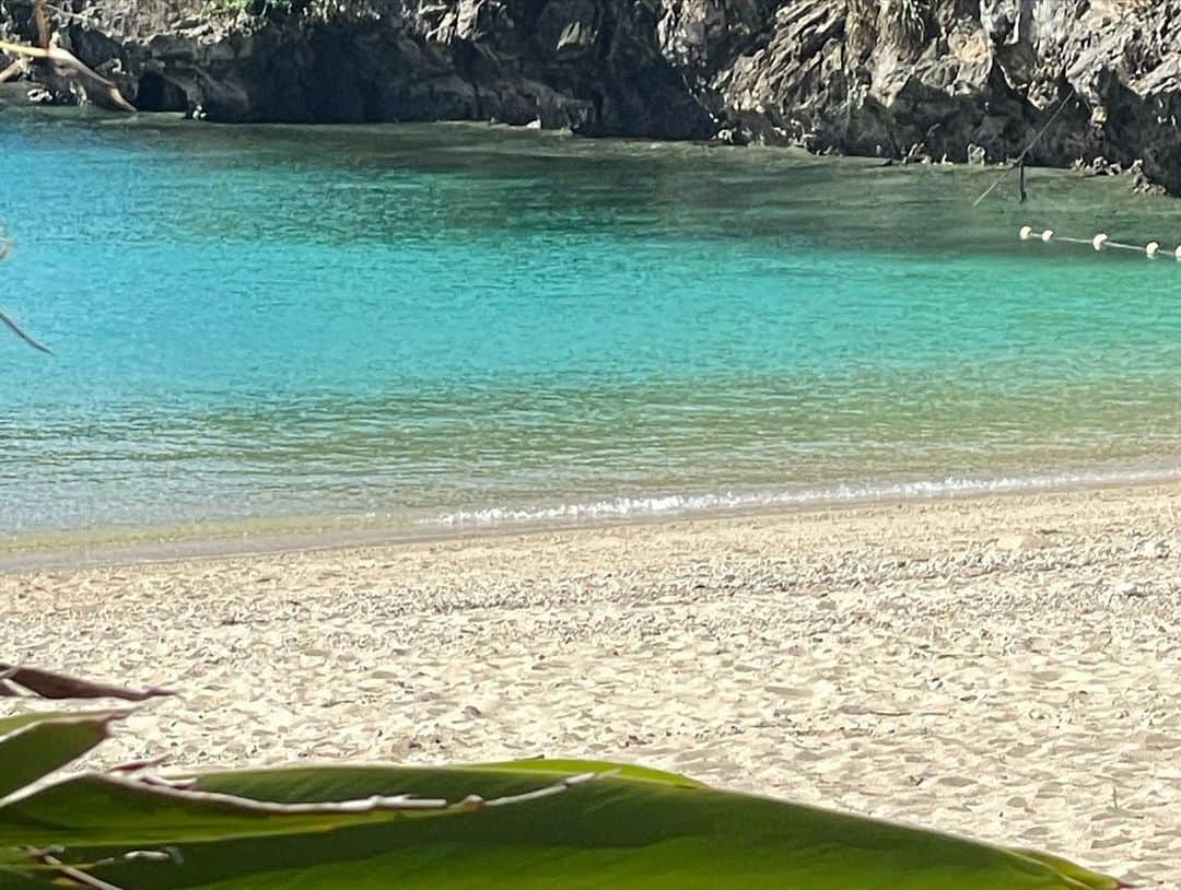 湊ジュリアナさんのインスタグラム写真 - (湊ジュリアナInstagram)「日本語,ENGLISH,português 👇 “Look deep into nature and then you will understand everything better “🌈自然に深く没頭し、それかや全てがより良く理解出来ます。 Olhe profundamente para a natureza e então você entenderá tudo melhor 🌈 ✨ ✨ ✨」9月30日 8時54分 - julianaminato