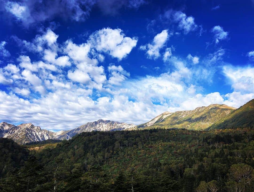 栂池高原スキー場さんのインスタグラム写真 - (栂池高原スキー場Instagram)「おはようございます🌞 ロープウェイ山頂駅の気温は12.3℃、秋らしい気候になってきました🍂 朝夕はかなり冷えるので、上着をお持ちくださいませ。  自然園内の色付きも進んできています🍁 青空とのコントラストがたまりません♪ スタッフのイチオシ撮影ポイントは、ワタスゲ湿原です！手軽に行けて、とても綺麗な写真が撮れますよ〜☺️  #北アルプス #栂池自然園 #風景 #トレッキング #草紅葉 #紅葉 #白馬 #栂池高原スキー場 #栂池高原 #栂池 #長野県 #絶景 #子連れ #家族の時間 #WOW #ロープウェイ #ファミリー #ドッグラン #つがいけマウンテンリゾート #こどもとおでかけ #車でお出かけ #空中散歩 #tsugaike #hakuba」9月30日 9時28分 - tsugaike_kogen