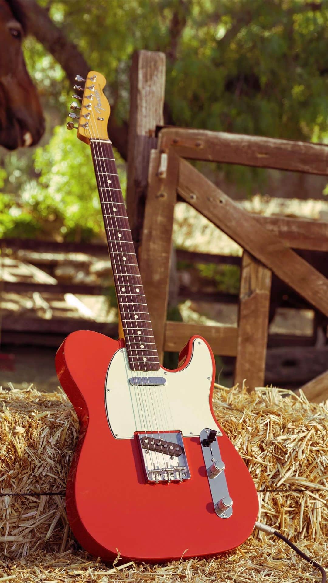 Fender Guitarのインスタグラム：「The one that started it all. The Vintera II 60s Telecaster. Ft. @pearlcharles. Visit the link in bio to learn more.」