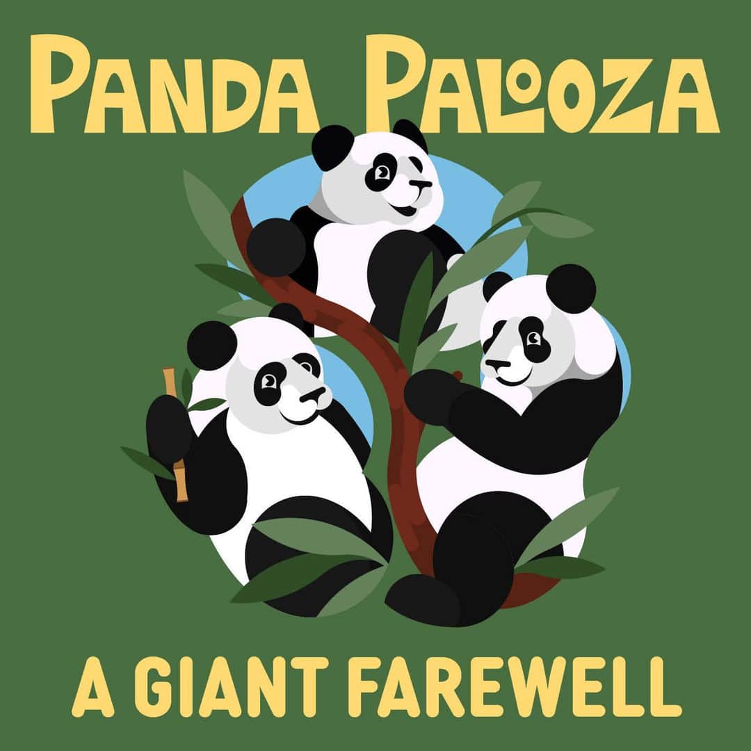 スミソニアン国立動物園のインスタグラム：「#PandaPalooza, sponsored in part by @Boeing, is on through Oct. 1! 🐼 🐼 🐼  *** In the event of a government shutdown Oct. 1, Smithsonian museums, research centers and the National Zoo will remain OPEN through at least Oct. 7. The @Smithsonian can use prior-year funds still available to us to remain open. Check the Smithsonian's main website for updates: si.edu.  *** 🎫 Free Zoo entry passes are almost gone for this weekend. Check today and at 7:00 a.m. for the same day. The events schedule, brought to you by entertainment sponsor @EventsDC, is online.  Reserve your spot to paw-tay today through Sunday: LINK IN BIO. .」