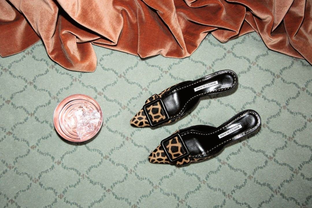 AnOther Magazineのインスタグラム：「In the new issue of AnOther Magazine, photographer and artist Lorena Lohr was invited to capture @manoloblahnik's bold Autumn collection, producing with a series of still lifes 👠⁠ ⁠ See the full story at the link in bio 📲⁠ ⁠ Photography by @lorena__lohr⁠ Editor-in-chief @susannahfrankel ⁠ Art direction by @sarahjaynetodd_ ⁠ Set design by @suzannebeirne⁠ Production by @artistryglobalagency」