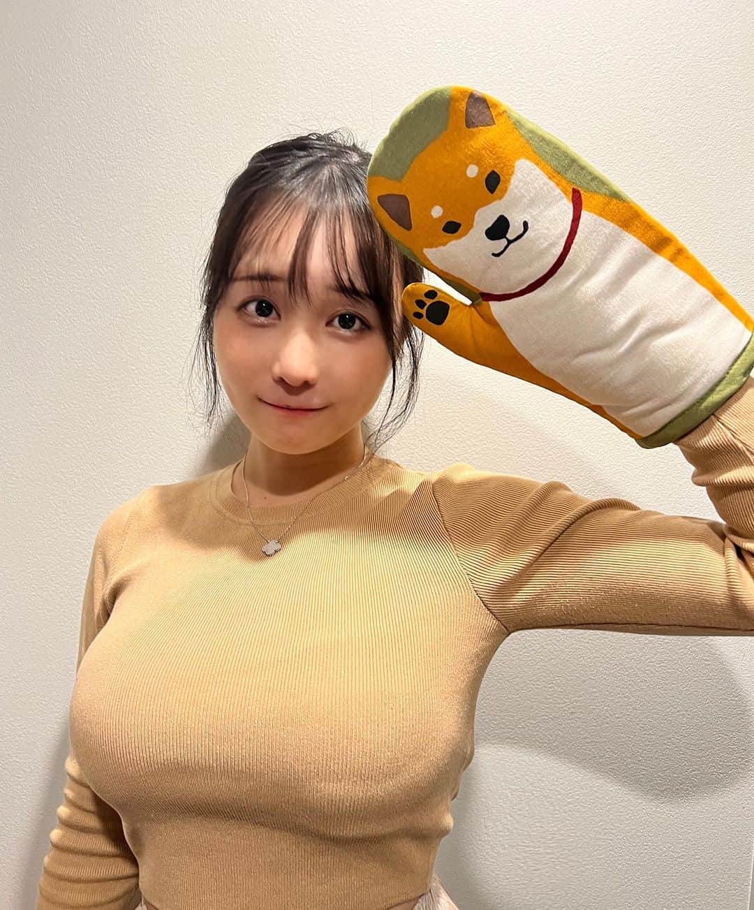 茜さやのインスタグラム：「柴犬が好きすぎて色々グッズ持ってる🐕 いつか落ち着いたら絶対飼うんだ （飼ってた愛犬が芝のミックスだった）  #柴犬　#柴犬マニア #柴犬大好き #柴　#鍋つかみ #ミトン #ニット #ニットコーデ #ニットトップス #shibadog #shiba #potholder」