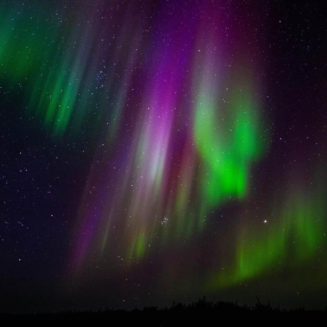 NikonUSAのインスタグラム：「September in rewind ⏮️ Want to be included in next month’s roundup? Be sure to tag @NikonUSA & #NikonCreators so we can see what you’re up to.  ✨ @rachel.a.patterson, Nikon Z 8 + NIKKOR Z 14-24mm f/2.8 S 🐋 @sheeyams, Nikon Z fc + NIKKOR Z 24-120mm f/.4 S ⚡️ @ChrisPZero, Nikon Z 9 + NIKKOR Z 14-24mm f/2.8 S ☁️ @gjallarhorn_productions, Nikon Z 6II + NIKKOR Z 14-24mm f/2.8 S 🌺 @italydreams, Nikon Z 8 + NIKKOR Z 14-24mm f/2.8 S 🍂 @AmberArtStudio, Nikon Z 7II + NIKKOR Z 28-75mm f/2.8 🐢 @MaryCarolinePhotos, Nikon Z 9 + NIKKOR Z 70-200mm f/2.8 VR S  #NikonCreators #NikonZ7II #NikonZ9 #NikonZ6II #NikonZfc #NIKKORZ #Astro #Wildlife #Nature #Mountain #sunset #sunrise #monochrome #portraitphotography #travel」