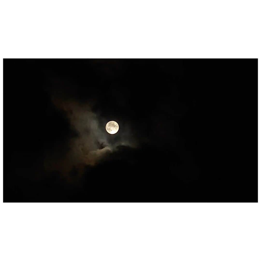 花村怜美のインスタグラム：「#月 #十五夜 #中秋の名月 #仲秋 #良夜 #風情 #自然 #moon #midautumn #harvestmoon #moonviewing #japan」