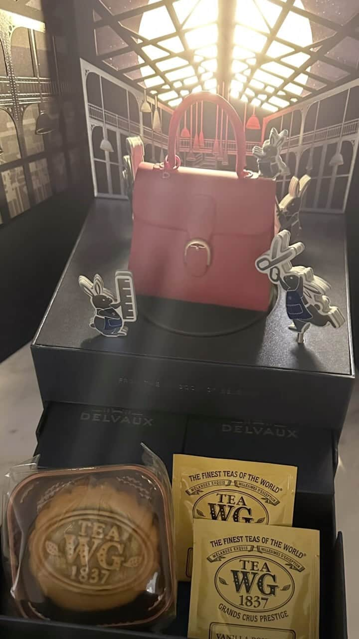 Ruby Kwanのインスタグラム：「Delvaux mooncake and Qoony. 🥮🥂😸  Thank you @Delvaux  #delvaux #delvauxmooncake #delvauxmooncake2023 #delvauxbrillant」