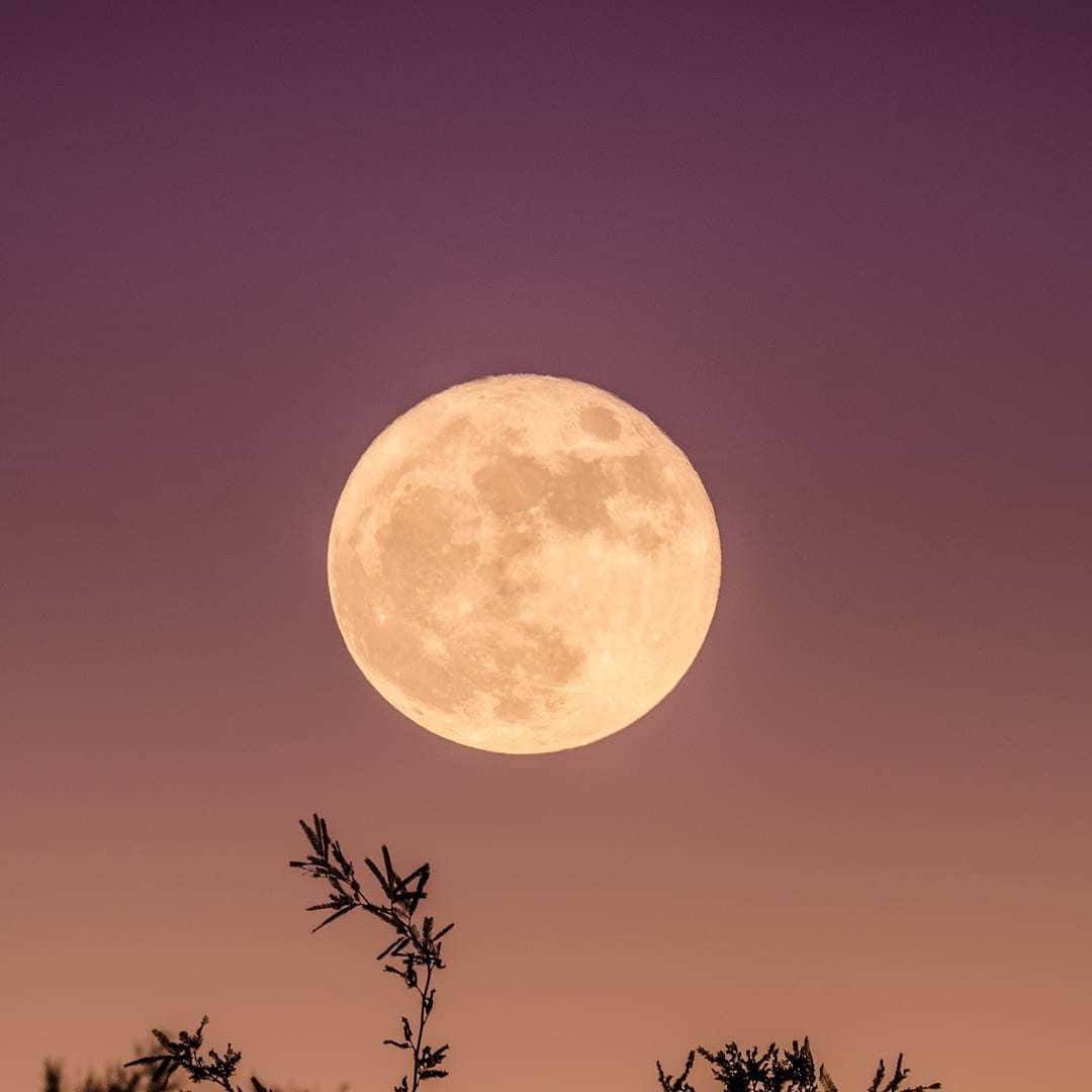 motherdenimのインスタグラム：「Embrace the final supermoon of the year - The Harvest Moon. 🌕   Taking it’s name from its proximity to the fall harvest, tonight’s supermoon invites you to take stock of the abundance in your life and reflect on what will sustain you through the rest of the year. As the luminous moon takes center stage in the night sky, it's a powerful reminder to release what no longer serves us and make space for new beginnings. It opens a cosmic door that will bring fresh and new opportunities to your life and appreciation for current blessings that align with your intentions and aspirations.   Whether you're harnessing its energy for personal growth or simply enjoying the beauty of the night sky, this lunar phase offers a unique opportunity to connect with nature and the cycles of life. ✨   Via 📸: @gkumar21」
