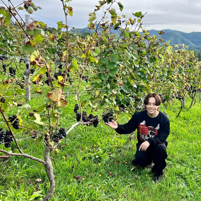 佐藤広大のインスタグラム：「. 今日は余市観光応援大使として余市バスツアーを決行🚌🍷 天気にも恵まれ余市をみんなで満喫！！ とても楽しかったです🫶 ありがとうございました🍇🙌  そして以前、男旅で僕も担当させていただいていたリタファームさんの風のヴィンヤード・ピノノワールが！！ IWC〈ロンドン インターナショナル ワインチャレンジ〉2023にて銀賞を受賞しました🥈✨ おめでとうございます🥹🎉  #リタファームワイナリー #余市 #男旅」