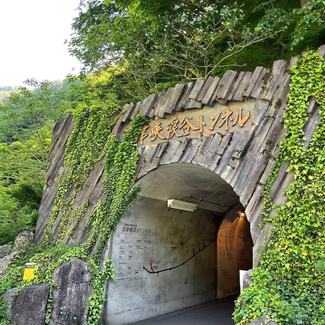 Mart（マート）編集部さんのインスタグラム写真 - (Mart（マート）編集部Instagram)「@mart.magazine▶︎ときめく週末お役立ち情報  新潟県十日町市にある絶景「清津峡」。 日本三大渓谷として知られ、近年では写真映えする観光スポットとして注目を集めています。  渓谷にはトンネルが設けられており、トンネル全体がひとつのアート作品になっているのが特徴。 全長約750ｍの道のりを進むと一番奥の「パノラマステーション」にたどり着きます。 床に水が張られているので、自然の風景と被写体が水鏡に反射したフォトジェニックな1枚が撮影可能✨ ポーズを工夫すれば家族でユニークな写真も撮れますよ👏 年賀状の写真にも活用できるかも！？  トンネルの中には他にもミステリアスな雰囲気の場所や、渓谷を眺められる見晴らし台があるので歩いているだけでも楽しめます。  繁忙期は事前予約がおすすめ！ 東京エリアから日帰りで訪れることも可能です◎ 秋のドライブ旅にぜひいかがでしょうか？🚗 （ライター丹下）  【清津峡】 https://nakasato-kiyotsu.com 入場料：大人1,000円、子ども（小中学生）400円  ▶︎▶︎▶︎ぜひ保存&フォローしてくださいね♪▶︎▶︎▶︎  #martmagazine #雑誌Mart #ときめく週末 #家族で過ごす週末 #新潟旅行  #新潟おでかけ #清津峡渓谷トンネル  #清津峡 #日本の絶景」9月30日 18時05分 - mart.magazine