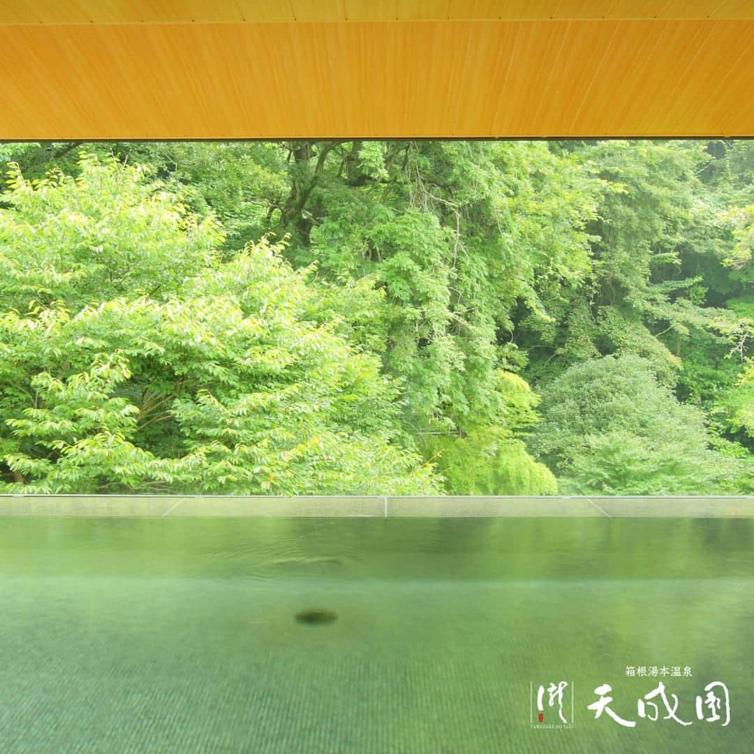 【公式】箱根湯本温泉 天成園のインスタグラム：「♨ 明日から10月がスタート‼️  10月もイベントが盛りだくさん🙌 まとめてのご紹介します！  毎週火曜日:レディースデー🚺 毎週水曜日:メンバーズポイントアップデー💰 毎週木曜日:シニアデー👴🏻🧓🏻  毎月10日:天成園の日🦆 毎月22日:カップルデー👩‍❤️‍👨 毎月26日:風呂の日♨  毎週土日祝日はランチバイキング開催中🍛 詳細は公式HPよりご確認下さい🙇‍♂️  #箱根 #箱根湯本 #天成園 #箱根湯本温泉 #天成園箱根湯本 #温泉 #本格温泉 #箱根ホテル #箱根旅館 #箱根旅行 #旅行 #個室 #貸し切り #レンタル浴衣 #露天風呂 #日本庭園 #神社 #滝 #日帰り温泉 #hakone」