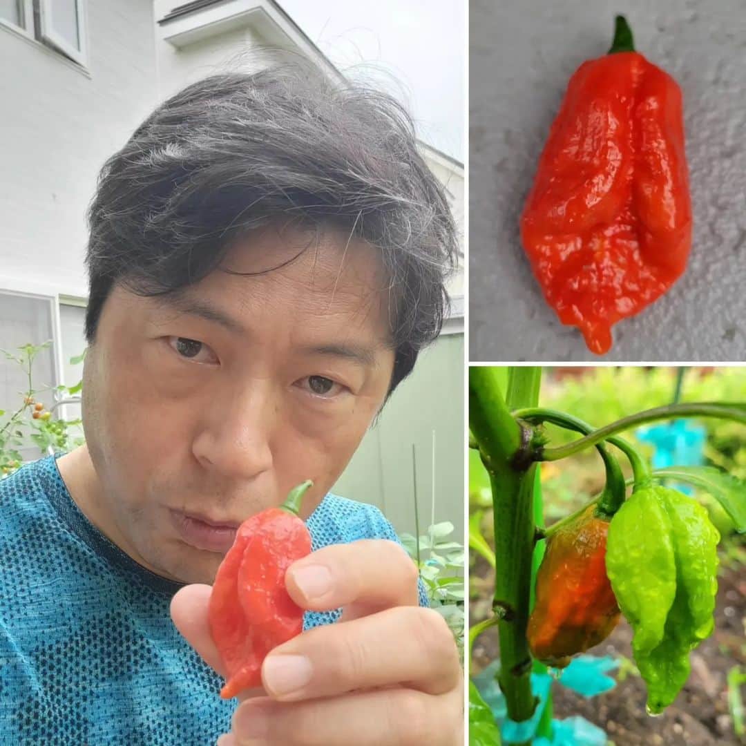 HBC北海道放送アナウンス部のインスタグラム