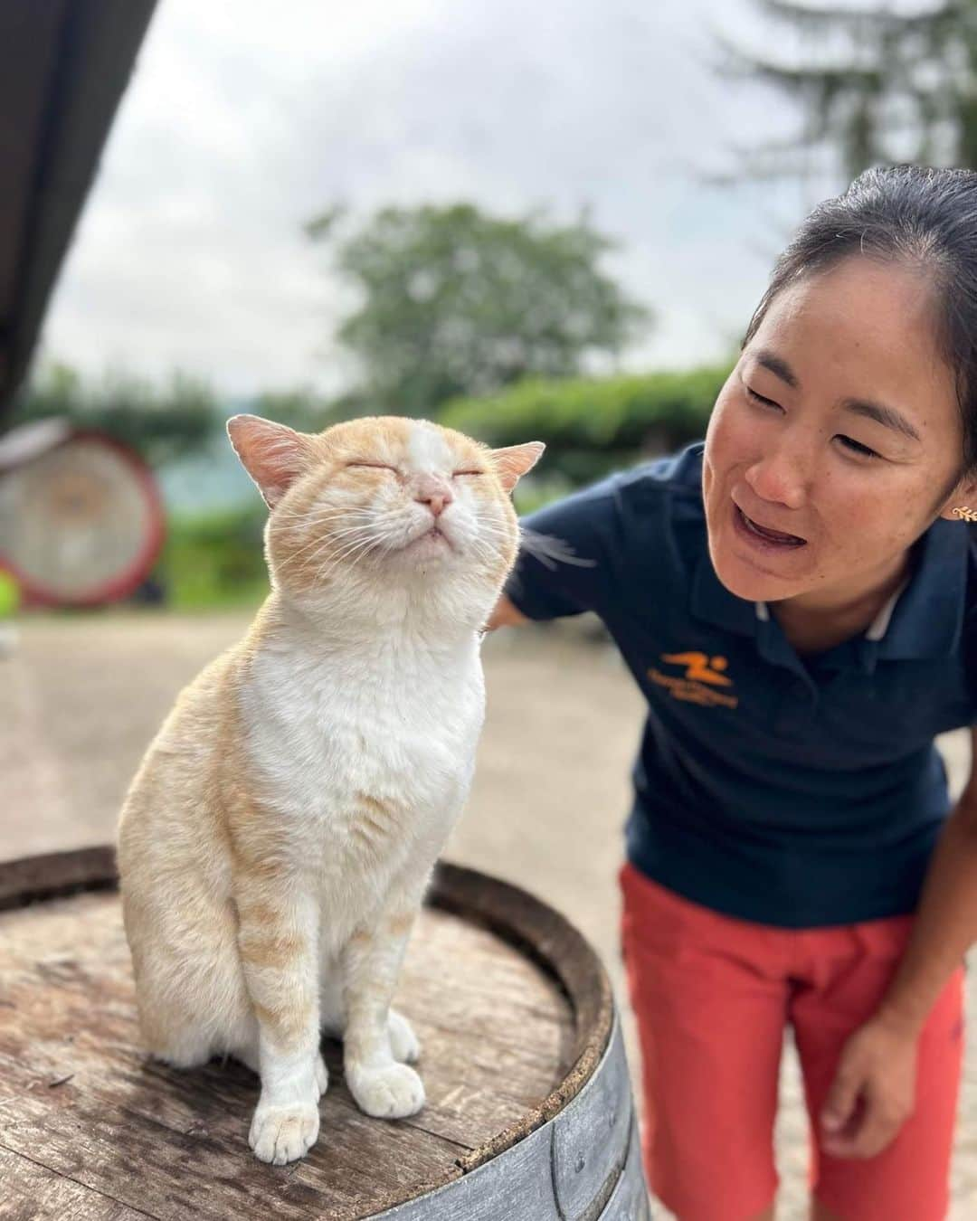 與那嶺恵理のインスタグラム：「Alley cat 🐈named “Pancho” 😽 I’m so jealous his life 😗😜 . . Last 2weeks,  Still not off-season for me but having some relaxing time in Italy 🇮🇹and now I’m in China 🇨🇳 for Asian Games.  This year I often lose where I’m now but definitely I’m in China this week with National team and 10days later with team. Finally getting close to the end of my 2023 season. Then, I’ll be like Pancho 🐈😌 2.5weeks to go 🫡 . . #今日のエリさん」