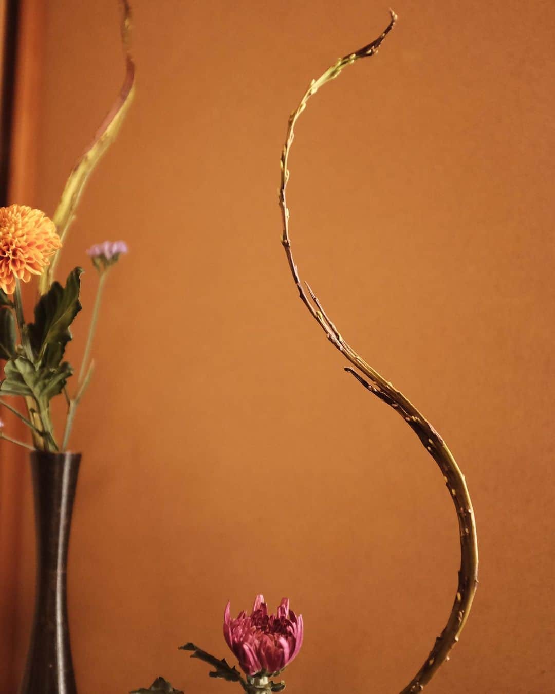 真奈さんのインスタグラム写真 - (真奈Instagram)「ikebana life💐  #꽃꽂이　#生け花 #生けまな　#ikebana」9月30日 18時25分 - manatmnt0116