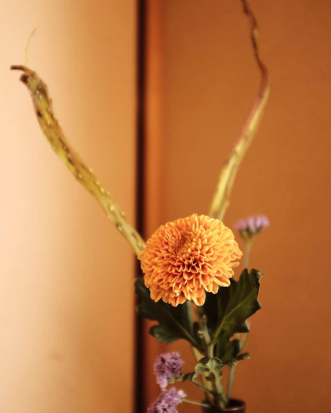 真奈さんのインスタグラム写真 - (真奈Instagram)「ikebana life💐  #꽃꽂이　#生け花 #生けまな　#ikebana」9月30日 18時25分 - manatmnt0116