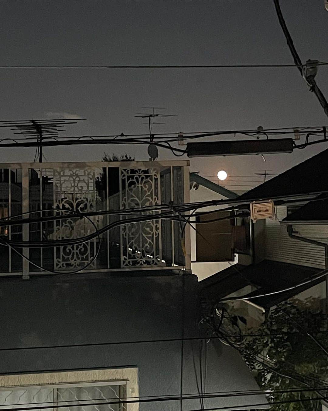 橋本志穂さんのインスタグラム写真 - (橋本志穂Instagram)「中秋の名月は昨日だけど、 いま登ってきた月が オレンジ色でめちゃくちゃ綺麗‼️  #名月」9月30日 18時27分 - shihohashimoto3