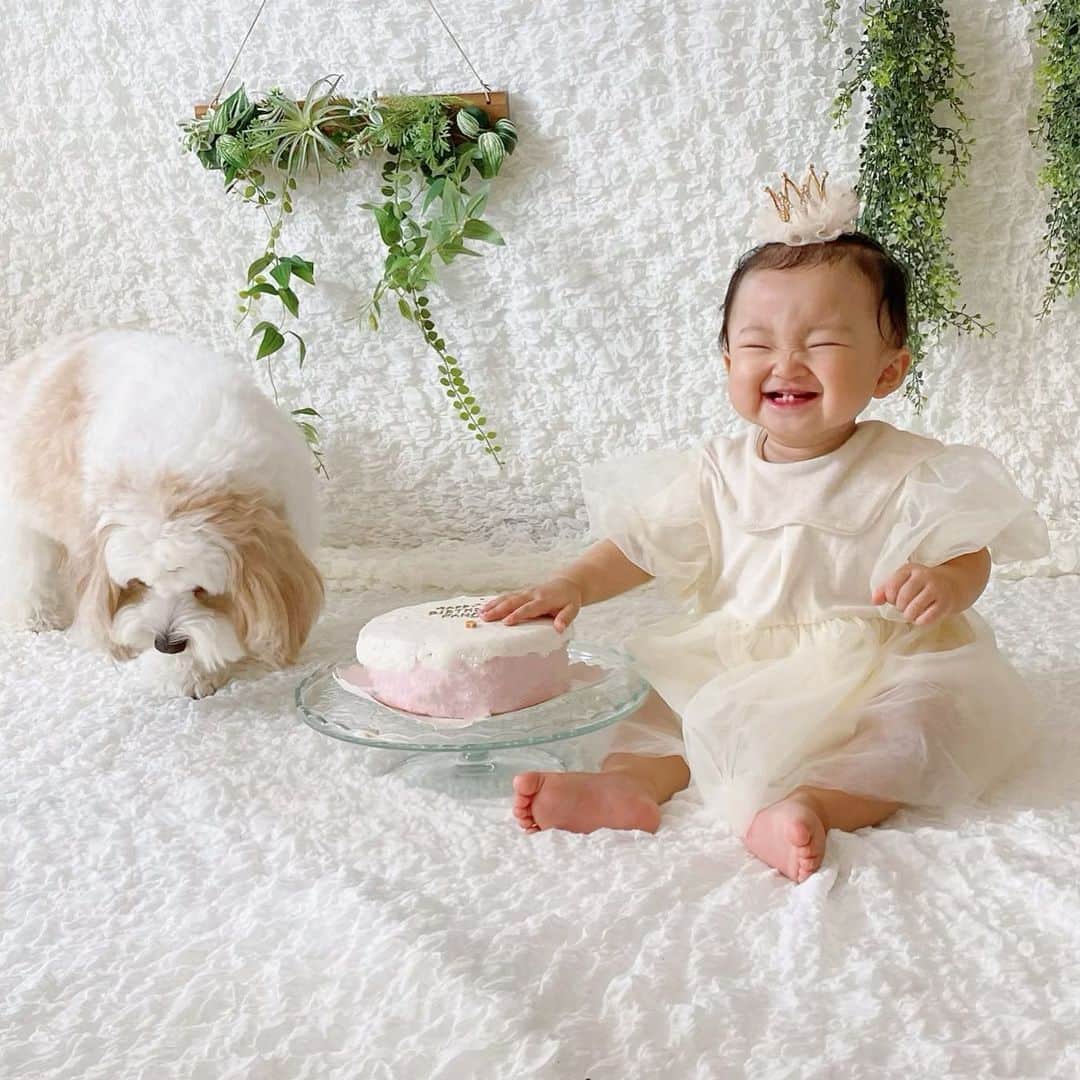 宮原幸恵のインスタグラム：「お誕生日おめでとう👶🏻🎂  あなたが産まれてもう１年。  もう戻らない 過ぎ去ってしまう「今」を こんなにも毎日大切に 愛おしく抱きしめて過ごしてるのに それでも驚くほどあっという間。  大変な時もしんどい時も 確かにいっぱいあったと思う。  でもそんな時さえ 今だけの特権！と思ったら それすら愛おしく思えた。  こんな翻弄されて振り回されるのも、 こんなベッタリそばにいてくれるのも、 あと先何年くらいだろう。  もっと私を困らせていいから もっとゆっくり成長すればいいのに。  私が座ってると トコトコそばにやってきて 私の足の上に ちょこんと座ってくるはのんが大好き。  不機嫌で怒ってるときも 私が笑ってお歌をうたうと ついついつられて笑って ご機嫌になっちゃうはのんが大好き。  褒められるのが大好きで 「じょうずー！」って言われると 嬉しそうにニヤニヤするはのんが大好き。  パパが帰ってくると 嬉しいが溢れた 今日１の笑顔を見せてくれるはのんが大好き。  私が両手を広げると ニコニコしながら寄ってきて 私にダイブしてくれるはのんが大好き。  ニカーッ♡って笑う 世界一かわいい笑顔の はのんがだーーーい好き。  いつもいつも たくさんの幸せをありがとう。  あなたの母になれて本当に幸せ。 私をあなたの母にしてくれてありがとう。  愛おしくてたまらない唯一無二の私の天使。  どうかたくさんの愛と幸せに溢れた あたたかくて明るい人生になりますように。  生まれてきてくれて本当にありがとう。 愛してるよはのん♡」