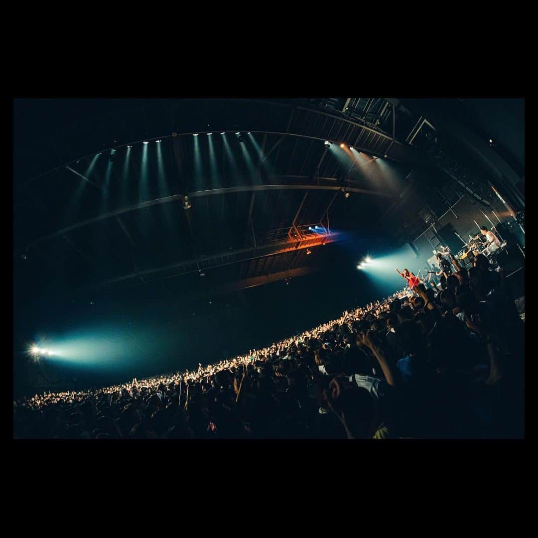 MOSHIMOさんのインスタグラム写真 - (MOSHIMOInstagram)「. 2023.09.29 Spitz×VINTAGE ROCK std. presents 「豊洲サンセット 2023」 豊洲 PIT  photo by @teru_ttm」9月30日 18時44分 - moshimo_band