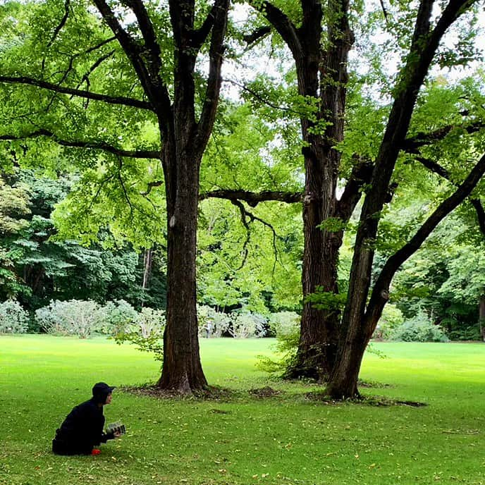 畑亜貴のインスタグラム：「街中なのに静けさに包まれた、北海道大学植物園を散歩。  #akhtravelogue」