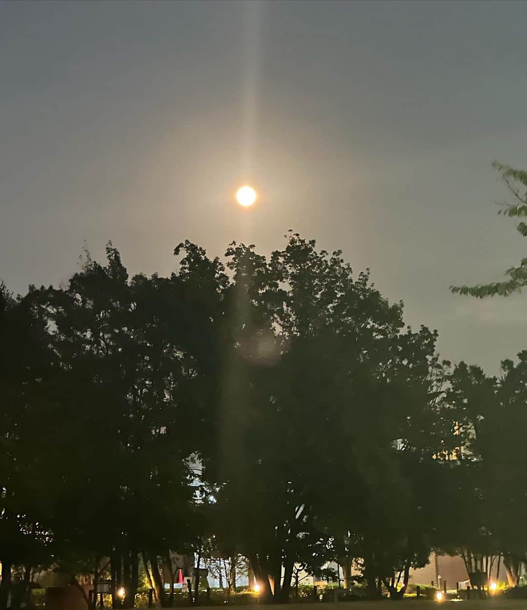 かとうれいこさんのインスタグラム写真 - (かとうれいこInstagram)「#中秋の名月 🌕  綺麗✨  中秋の名月と満月が重なることは意外と少なく、 次に見ることが出来るのは7年後の2030年なんですって〜。  #2023 #9.29(金) #moon  #fullmoon」9月30日 11時25分 - katoreiko_official