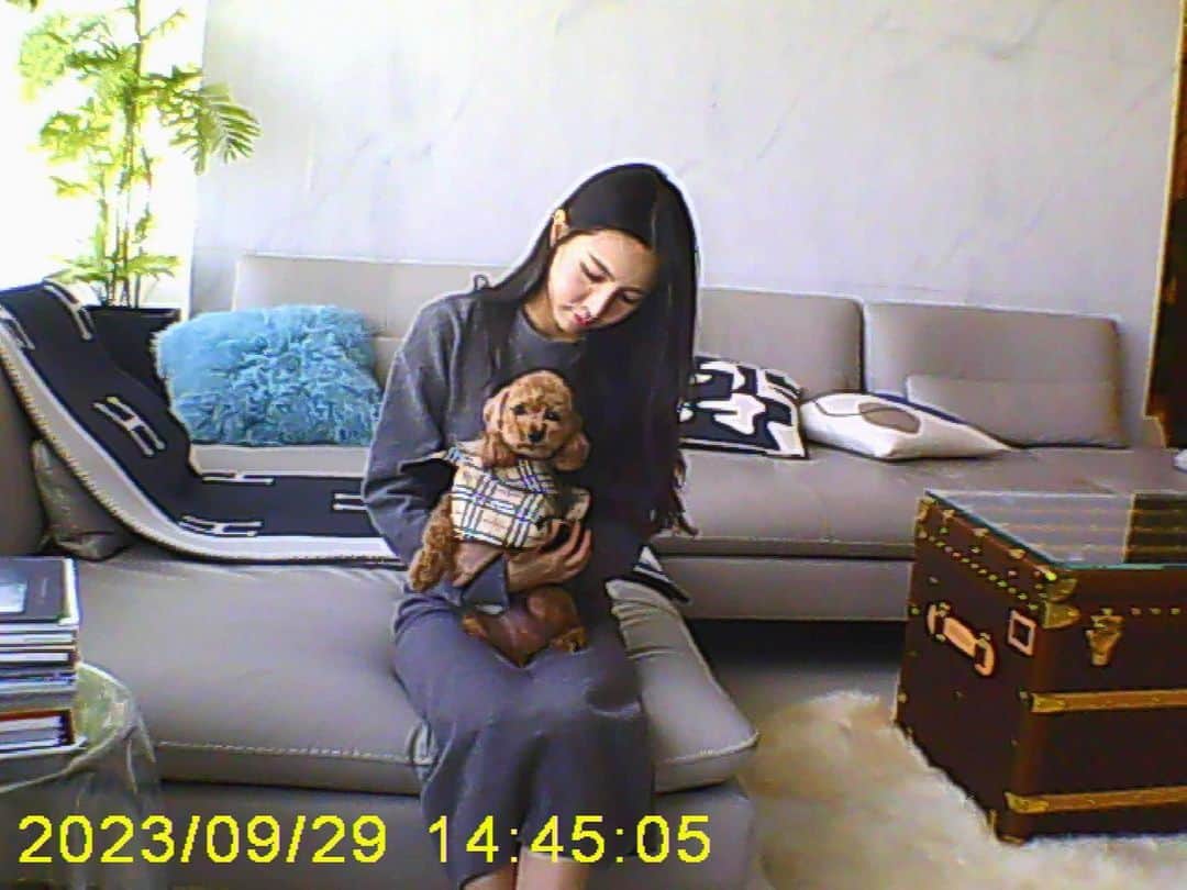 ジェイさんのインスタグラム写真 - (ジェイInstagram)「토이카메라 재밌네?!?! 이제 맨날 갖고다녀야지잉 #추석의기록」9月30日 11時28分 - kimjeii