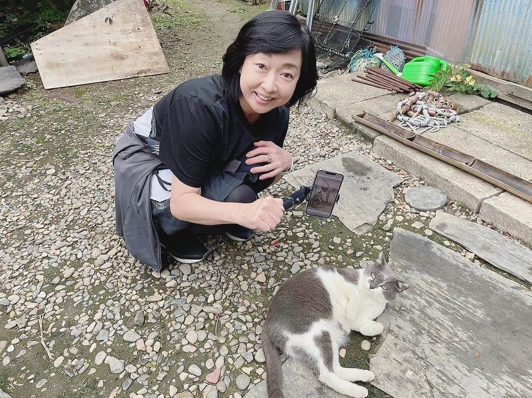 川上麻衣子さんのインスタグラム写真 - (川上麻衣子Instagram)「2018年田代島で出逢ったタッシーを探しに5年ぶりに訪れた旅。タッシーとても似た猫を見つけると、すぐに近寄り独特の鼻の柄を確認しましたが、会うことは叶いませんでした。外で暮らす猫にとって5年という月日はなかなか難しいのかもしれません。タッシーが暮らしていたとマンガアイランドという場所に猫はほとんどいなくなっていました。 タッシーが過ごしたであろう場所を散歩しながら、少し切ない気持ちでしたが、今回5年ぶりに私を迎えてくれたもう1匹の猫。グリピン！前回来た時には名前も知らずに、ただとても綺麗だったので絵を描いていました。 その子が今回の私の旅にはずっと側にいてくれて、昨夜は満月を共に眺め、宿を後にする時には、どこからからスッと玄関前に現れてお見送りをしてくれました！近々に旅の思い出をまた書き記したいと思います。タッシー会いたかったなぁ。でも私の心にはずっといるからね！」9月30日 11時50分 - kawakami.maiko