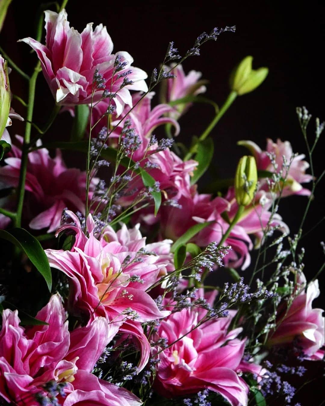木山裕策さんのインスタグラム写真 - (木山裕策Instagram)「先日いただいた八重咲きの百合があまりにも美しいので、今朝写真を撮りました📷。  優雅で力強く、存在感に圧倒されます😍 自然光だけで撮影したのですがこんなに色鮮やか‼️  さて、今日も頑張りましょう💪」9月30日 11時51分 - kiyamayusaku