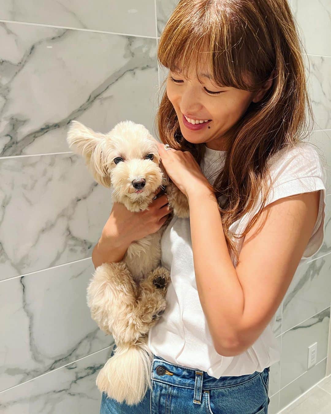 廣瀬規子さんのインスタグラム写真 - (廣瀬規子Instagram)「🐩🐩💕  もぅ、可愛くて倒れそ🙈💕  #dog #dogstagram  #poodle  #toypoodle  #maltesepoodle  #トイプードル  #マルプー #やっぱり犬が好き  #多頭飼い」9月30日 11時59分 - noriko_style