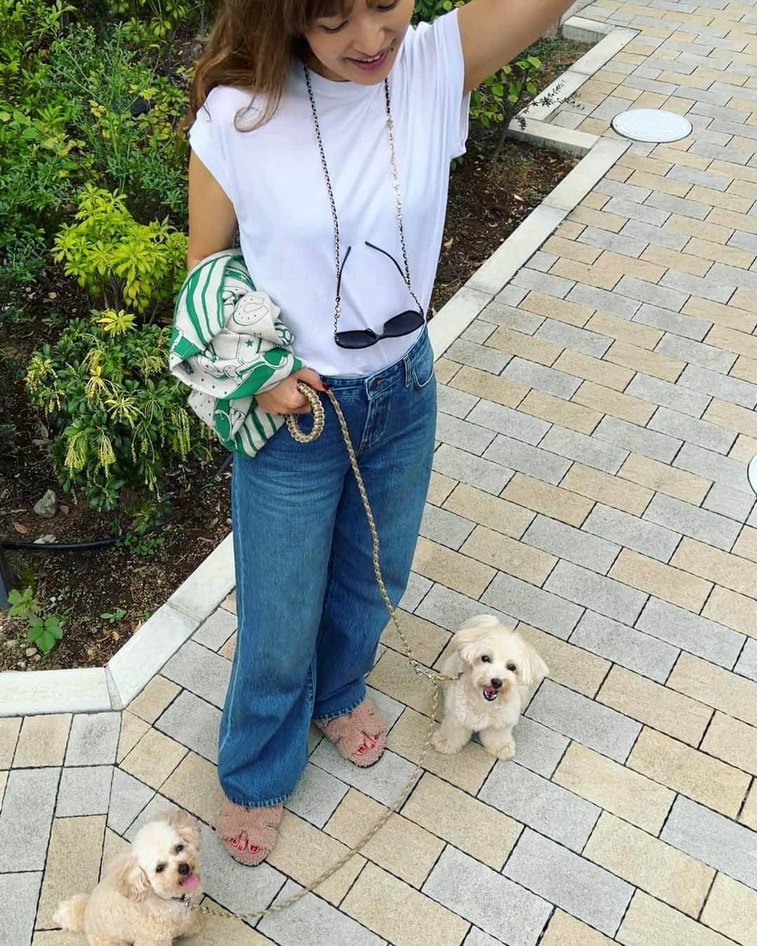 廣瀬規子さんのインスタグラム写真 - (廣瀬規子Instagram)「🐩🐩💕  もぅ、可愛くて倒れそ🙈💕  #dog #dogstagram  #poodle  #toypoodle  #maltesepoodle  #トイプードル  #マルプー #やっぱり犬が好き  #多頭飼い」9月30日 11時59分 - noriko_style