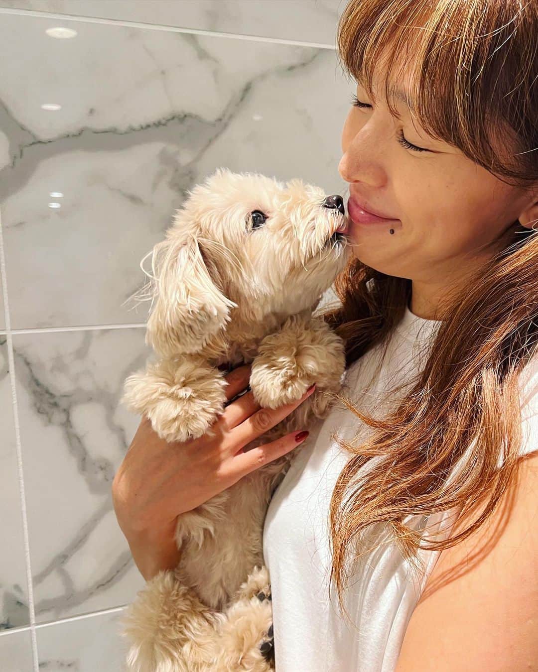 廣瀬規子さんのインスタグラム写真 - (廣瀬規子Instagram)「🐩🐩💕  もぅ、可愛くて倒れそ🙈💕  #dog #dogstagram  #poodle  #toypoodle  #maltesepoodle  #トイプードル  #マルプー #やっぱり犬が好き  #多頭飼い」9月30日 11時59分 - noriko_style