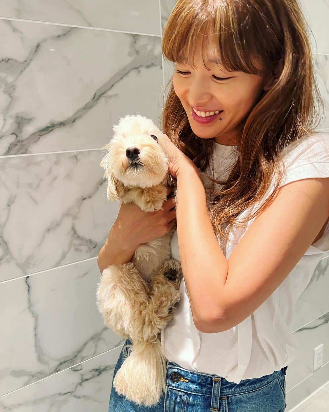 廣瀬規子さんのインスタグラム写真 - (廣瀬規子Instagram)「🐩🐩💕  もぅ、可愛くて倒れそ🙈💕  #dog #dogstagram  #poodle  #toypoodle  #maltesepoodle  #トイプードル  #マルプー #やっぱり犬が好き  #多頭飼い」9月30日 11時59分 - noriko_style