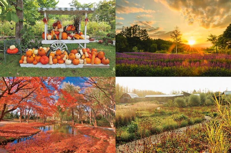 北海道じゃらん【公式】さんのインスタグラム写真 - (北海道じゃらん【公式】Instagram)「【とかち　1泊2日で楽しむ秋の収穫祭ドライブ】  北海道はたくさんのお出かけスポットがあり、どこに行くか迷うこともありますよね。 今回は食事・お土産・ガーデン・宿泊が楽しめる「秋の十勝　収穫祭ドライブ」をご提案！ 是非とも旅先選びの参考にしてみてください！  本企画限定のお得なチケット付きのプランもじゃらんnetで発売中♪ 詳細は北海道じゃらん2023年10月号P146～をチェック！  1枚目：森のスパリゾート北海道ホテル　エブリシングノース  2枚目：星野リゾート　トマム 3枚目：十勝川温泉　観月苑 4枚目：cake&cafeあちろ（左上）・よりみちベーカリー（右上）・十勝豚肉工房ゆうたく・（左下）カントリーホーム風景（右下） 5枚目：旬の肴と串と酒胤（左上）・道の駅おとふけ　なつぞらのふるさと（右上）・広尾漁業協同組合（左下）・道の駅なかさつない（右下） 6枚目：紫竹ガーデン（左上）・十勝ヒルズ（右上）・真鍋庭園（左下）・十勝千年の森（右下） 7枚目：六花の森（左上）・北の屋台（右上）・とかちむら（左下）・じゃらん10月号の表紙（右下）  #北海道じゃらん　#十勝　#グルメ　#十勝観光　　#真鍋庭園　#紫竹ガーデン　#六花の森　#十勝千年の森　#十勝ヒルズ　#とかちむら　#北の屋台　#道の駅おとふけ　#広尾漁協　#道の駅なかさつない　#星野リゾート　#森のスパリゾート北海道ホテル　#十勝川温泉観月苑　#よりみちベーカリー　#cakeandcafeあちろ　#十勝豚肉工房ゆうたく　#カントリーホーム風景　#旬の肴と串と酒胤 #帯広観光　#北海道旅行　#北海道ドライブ　#十勝グルメ　#十勝スイーツ　#帯広カフェ　#十勝川温泉」9月30日 12時00分 - hokkaido_jalan