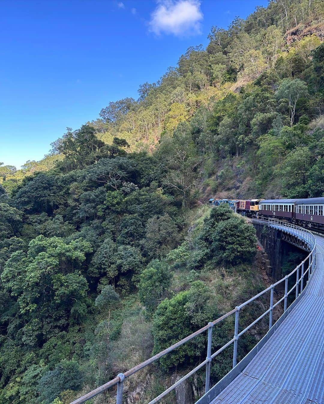 水越愛華さんのインスタグラム写真 - (水越愛華Instagram)「🚃Kuranda Scenic Railway  #kuranda #kurandascenicrailway  #キュランダ #キュランダ鉄道」9月30日 12時16分 - iamemika21