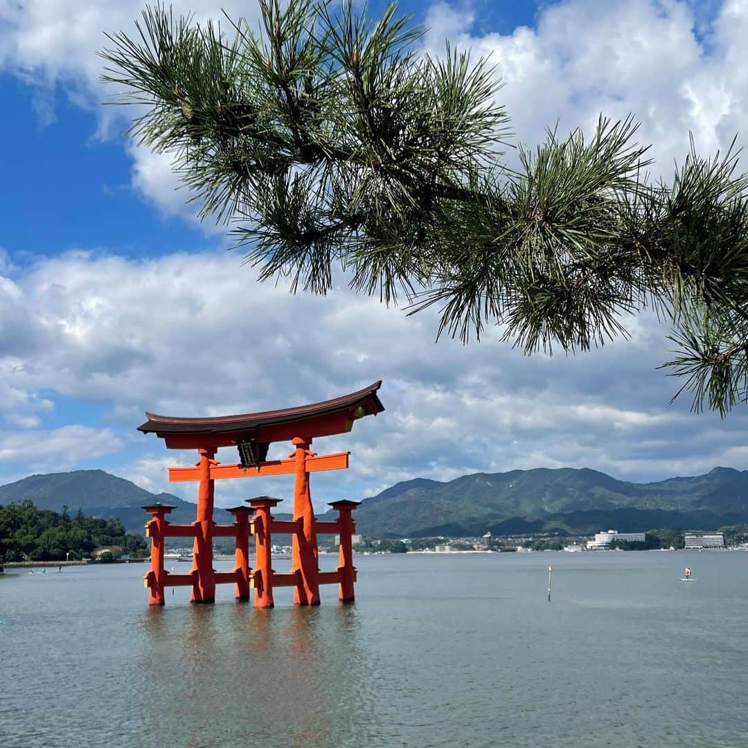 加藤綾菜のインスタグラム：「弾丸広島へ🍁  短い時間でも睡眠時間けずって世界遺産の厳島神社と原爆ドームなど観てきました！笑  大好きなカネちゃんも一緒に行ってくれました。  綺麗な海を船で渡り世界遺産をみて秋の風にあたりながら🍁饅頭食べたり。  平和資料館で涙したり(是非皆さんみてほしい) 広島であった悲惨さを知ってほしいです🕊️ 帰りに「はだしのゲン」を10冊購入しました🫡  次の日は私が広島でお仕事があったりバタバタしていましたが本当に本当に楽しい広島旅になりました。  そして、昨夜　みんなで満月🌕を見たよ。  カネちゃん　父母　友人達　ありがとねー❤️  私が広島行ってる間　カトちゃんをご飯に連れ出してくれた鈴木奈々ちゃんもありがとねー☺️🙏  今から特番収録　頑張ってきます💕💕」