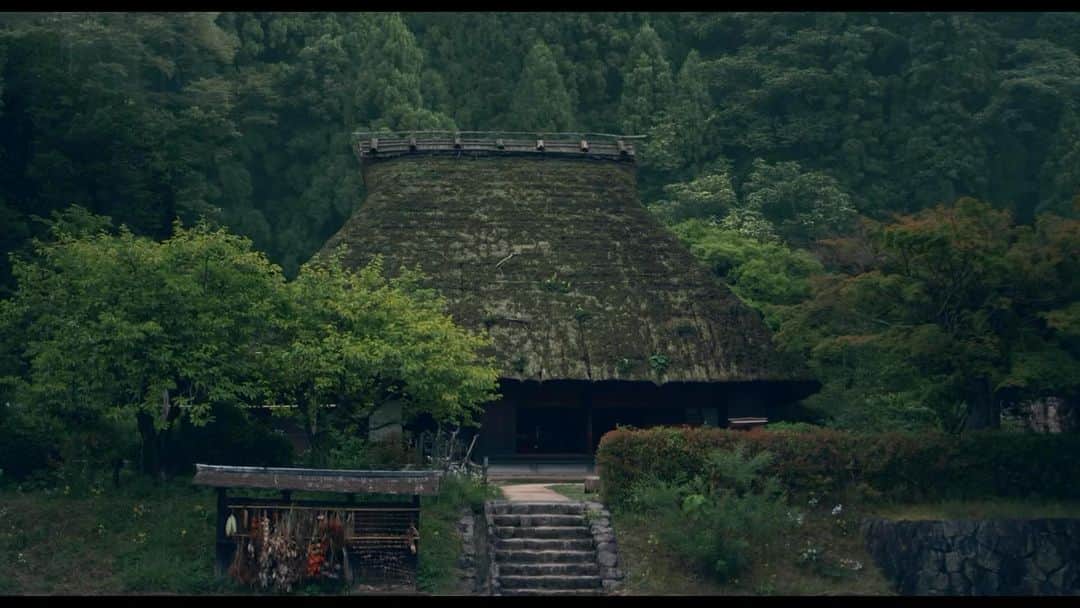 水川あさみのインスタグラム：「『唄う六人の女』主題歌版予告編🌳 10月27日公開です🌳🌳🌳」