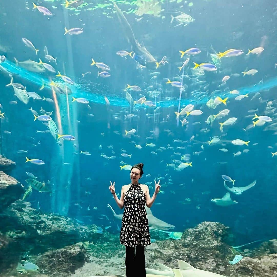 伴杏里のインスタグラム：「🌈🐟🐠🐡🌈 鴨川シーワールドのシャチ 大きくてビックリ🫣  熱帯魚にも癒された… 🐠❤️‍🔥🐠❤️‍🔥🐠❤️‍🔥  #鴨川シーワールド  #千葉 #水族館」