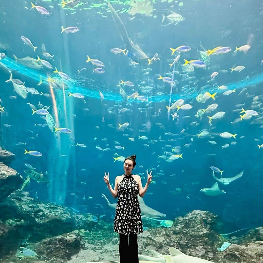 伴杏里のインスタグラム：「🌈🐟🐠🐡🌈 鴨川シーワールドのシャチ 大きくてビックリ🫣  熱帯魚にも癒された… 🐠❤️‍🔥🐠❤️‍🔥🐠❤️‍🔥  #鴨川シーワールド  #千葉 #水族館」