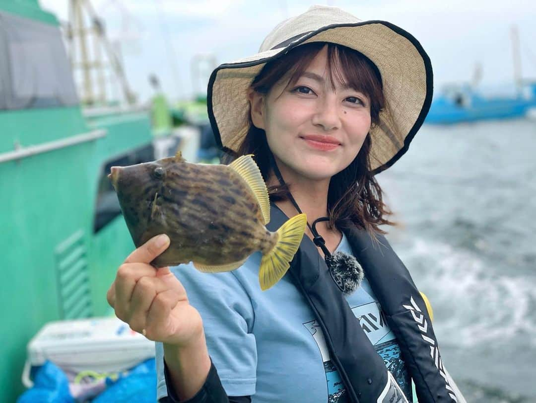 晴山由梨さんのインスタグラム写真 - (晴山由梨Instagram)「#時差投稿   浦安吉野屋さんから東京湾カワハギ釣り🐟  なかなか思い通りに行かなかったけど、 そこがまた歯がゆくて夢中になりますね😎✨  この日の様子は後日キャスティングTVにUPされます！  #東京湾 #浦安 #吉野屋 #カワハギ釣り #ワッペンサイズ #船釣り #海釣り #沖釣り #釣り #キャスティングtv」10月24日 17時05分 - hareyama_yuri