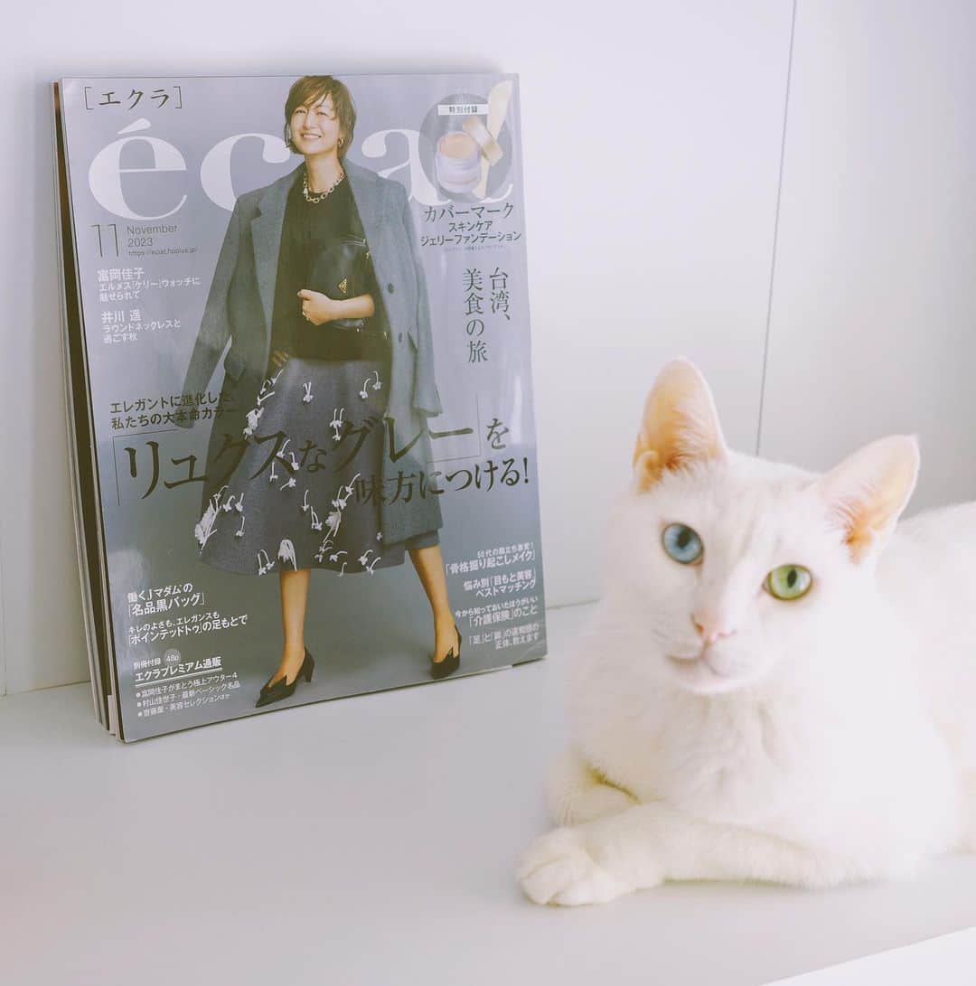 omomuroniさんのインスタグラム写真 - (omomuroniInstagram)「初・エクラ！ 📚  #nuco_ivy   ってまたアイビーに先越された! 😉 雑誌 @eclat.magazine 最新11月号の 連載コーナー『あの人の溺愛ねこ図鑑』に 我が家のぬこアイビー取り上げていただきました。  迎えた経緯、名前の由来…などのほか 韓国の猫用おもちゃ🧸や猫インテリア🧺  私のお気に入り猫グッズなども。  最新号のエクラ、いま話題になってる カバーマークの(1.5諭吉!)ジェリーファンデが 付録で付いてくるの、なにげにうれし😆  #エクラ #eclat #あの人の溺愛ねこ図鑑  #撮ってると写り込みにくるシリーズ  #飼い主もお仕事できるようにがんばろう #わたし年相応なヤツもイケますんで」9月30日 13時44分 - omomuroni