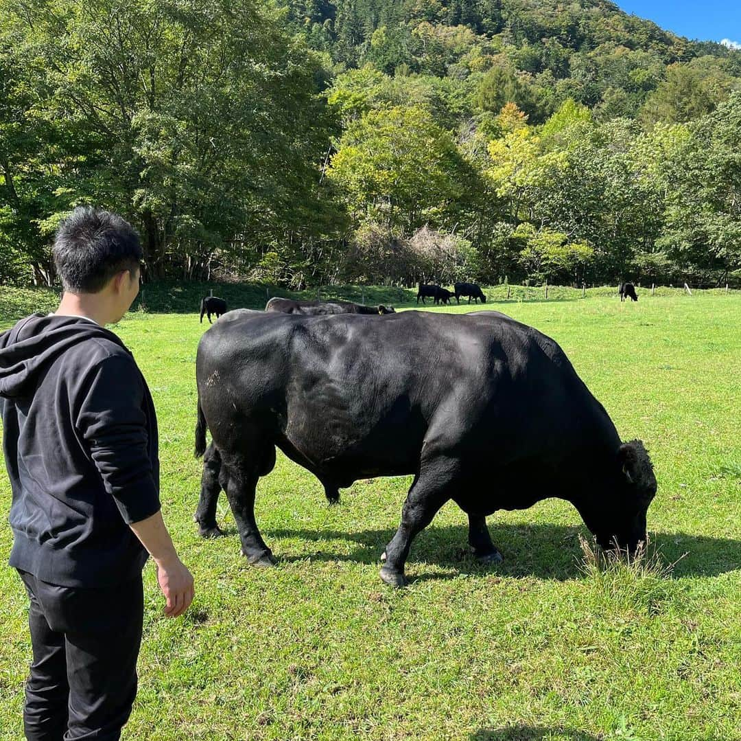 田辺晋太郎さんのインスタグラム写真 - (田辺晋太郎Instagram)「【究極の赤身肉『ジビーフ』の故郷、北海道帯広 様似の駒谷牧場をサカエヤ新保さんと巡る旅】  先日西小山のcaillouで #サカエヤ の #新保吉伸 さんや我らが巨匠 #松浦達也 さんらとご飯をご一緒しているときに「#ジビーフ の牧場、見に行ってみませんか？」という話になり同席していた友人や #caillou の安達シェフともこれは是非行きましょう！！と言うことで、今回松浦さんにコーディネーション頂き『新保さんといく北海道ツアー』が敢行されました！  ジビーフとは、#北海道 様似郡にある #駒谷牧場 で西川奈緒子さんがたった一人で育てている #ブラックアンガス 牛のこと。 200ヘクタールの山林で、通年放牧で育だ牛たちは、自然交配で子を産み母乳で育て、親子で連れ添いながら小川の水を飲む姿はまさしく野生の牛。この完全放牧野生牛が、ジビエのようなビーフという意味で「ジビーフ」と呼ばれています。究極の野生赤身肉のジビーフは日本で数少ないオーガニック認定を受けた牛肉です。  という事でその駒谷牧場にお邪魔しまして、ジビーフが放牧されている山林にいったらもう、こんな素晴らしい環境があるのかと大驚き！  澄んだ風が吹き抜け牧草は生い茂り、それを自由に牛たちが親子連れで食べている最高の景色。  中に一頭だけ種牛の十兵衛師匠が威風堂々と君臨され、そこにいる何十頭の父である威厳に満ちた姿は男としても思わず崇め奉りたくなりました。  牧場を見たあとはバーベキュー！  究極の赤身肉であるジビーフのカイノミを生産者のお宅にて、ジビーフの手当をされてる新保さん、caillouの安達シェフとでまたたく間にカットしていきます。  バーベキュースタート！あ、しまった！焼肉のタレを用意してなかったとの事で、急遽僕が生産者さんのご自宅にある材料でジビーフ用に焼肉のタレを調合してみたところ見事にハマって #肉マイスター の面目躍如となりました！たぶん（笑）  20年以上ぶりの北海道、ホントに気持ちよくて大満喫しております。  このあと夜は帯広市内の最高のフレンチへ。  続く。」9月30日 15時42分 - meat_meister_tanabe_shintaro