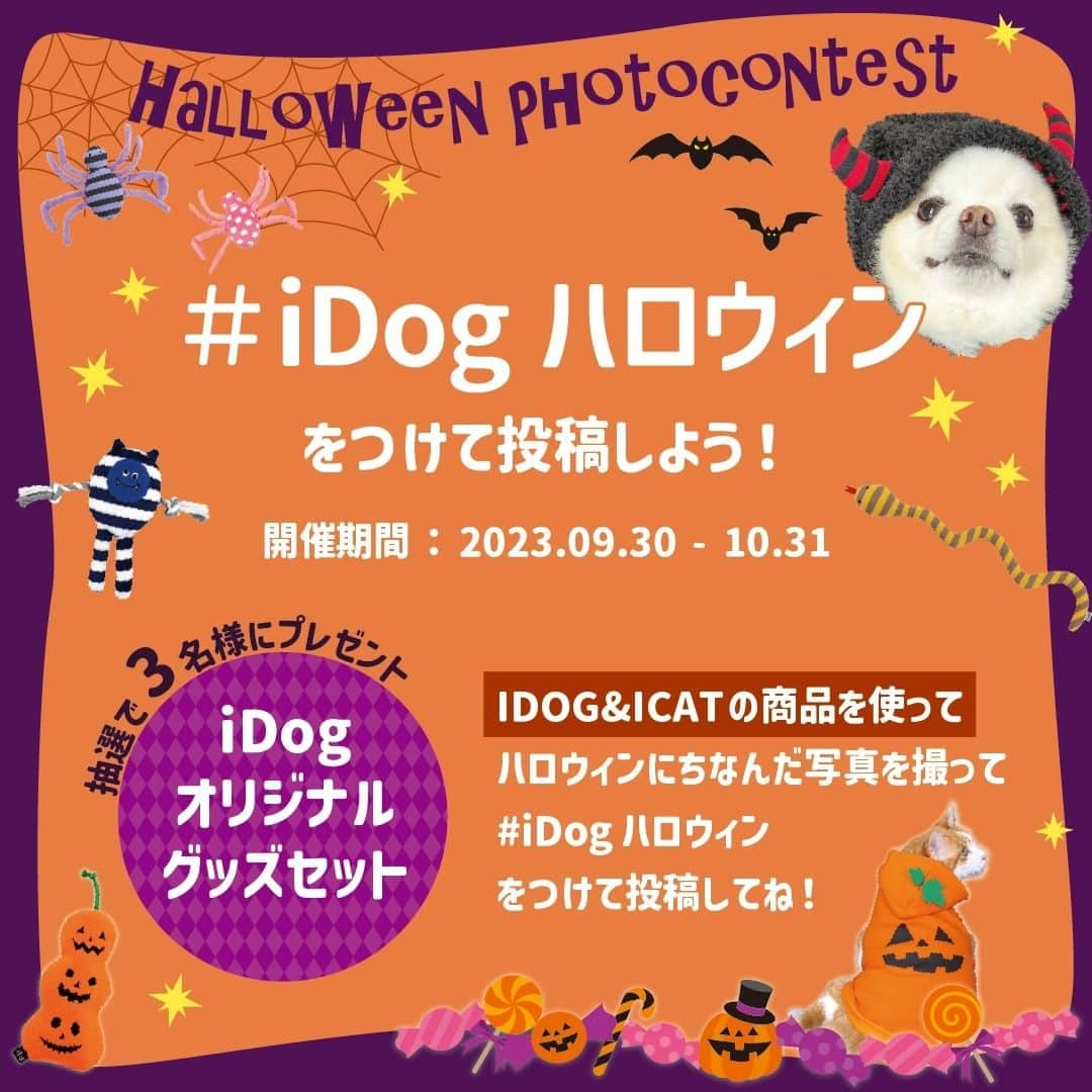 iDog&iCatさんのインスタグラム写真 - (iDog&iCatInstagram)「今年もやってくるハロウィン🎃 IDOG&ICATではハロウィンにちなんだフォトコンテストを開催いたします。  ハロウィンにちなんだ仮装や装飾で愛犬愛猫のとっておきの1枚を投稿するだけで 抽選で3名の方には、スタッフが選ぶ豪華iDogオリジナルグッズセットをプレゼント♪  豪華なプレゼントがもらえるチャンス 応募方法を必ずご一読の上ご参加ください！  〈応募方法〉 ●IDOG&ICAT公式アカウント（@idogicat）をフォローします ●必ずIDOG&ICATオリジナル商品を1点以上一緒に映った写真が応募対象となります ●愛犬、愛猫のお名前をコメント、キャプションに記載 ●お写真投稿時には必ず【#iDogハロウィン】のハッシュタグをつけてくださいね♪  ●〆切 応募期間は【2023 9/30 - 10/31】です。  ●抽選で3名様にiDogオリジナルグッズセットをプレゼント🎁  〈注意事項〉 過去の投稿にハッシュタグを付けられた場合、確認作業が難しくなる為選考外となります、この応募受付開始投稿より後に、新たにお写真を投稿してください。 ◯ハッシュタグは付け間違えたり、付け忘れのないようお願い致します。 ◯非公開アカウントでは、投稿が確認できませんので、必ず公開されているアカウントにて投稿お願い致します。  #IDOGICAT #iDog #iCat #犬 #いぬ #猫 #ねこ #写真コンテスト #犬の服iDog #ペット自慢 #フォトコンテスト #ハロウィン #Halloween」9月30日 16時28分 - idogicat